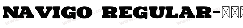 navigo regular字体转换